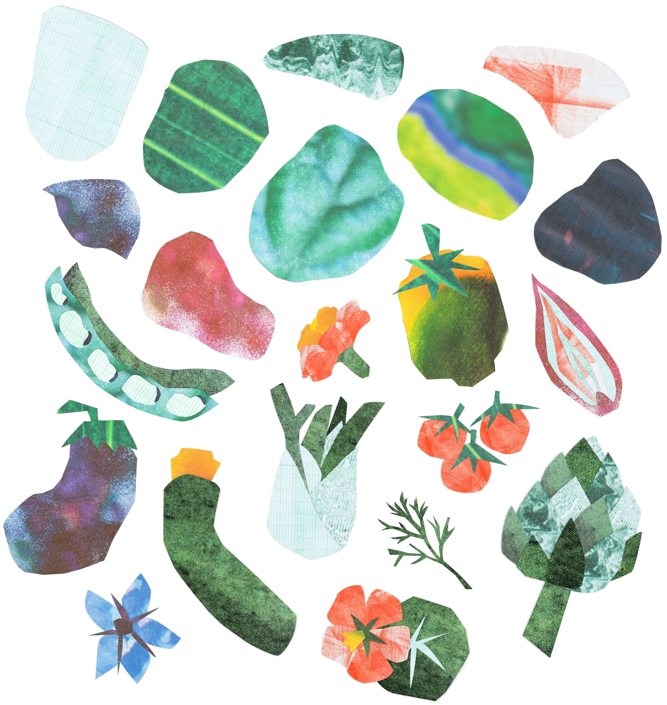 illustrations pour le Branding de On se plante par Charlotte Smague