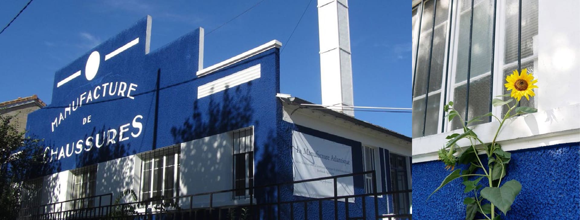 façade bleue de la manufacture CDCN à bègles avec un tournesol devant bâtiment du restaurant de la cantine de l'usine par Charlotte Smague